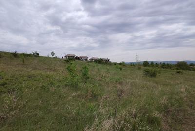 Teren intravilan 1800 mp, Centura-Ciurbesti-dubla deschidere - 7