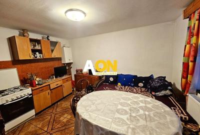 Casa cu doua corpuri, 5 camere, 1580 mp teren, Dealul Furcilor - 19