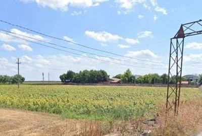 Teren de 5000 mp, în Cotorca - 6