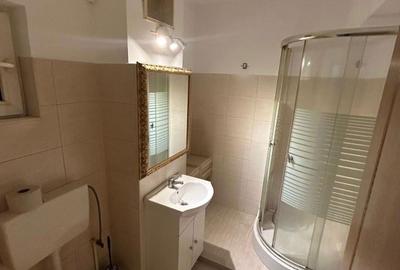 Apartament cu 2 camere decomandat, mobilat în Copou - 3