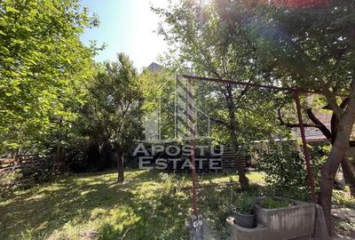 Casa cu 3 camere pentru birouri sau locuit, Bulevardul Liviu Rebreanu - 7