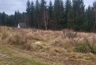 Teren de 1000 mp, în Colibița