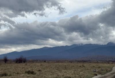 Terenuri extravilan  | 1000 mp, 2000 mp  | Valea Avrigului - 2