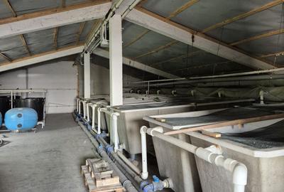 Casă cu 4 camere cu Teren 28000 Mp în Baba Ana - 2