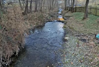 Vand casa in zona de munte, com. Podeni, jud. Mehedin?i. - 1