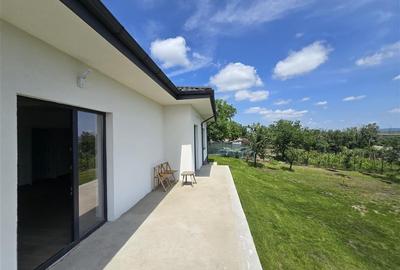 Casa  - Panoramic Probota - 9