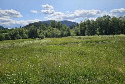 De vanzare Teren intravilan cu casa si anexe in Bucovina Moldova Sulita - 1