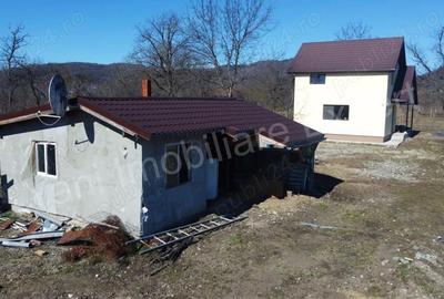 Casă cu Teren 3582 Mp în Poduri - 20