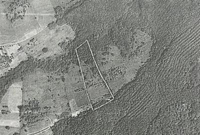 RECO, teren extravilan, Zona Sinteu, Bihor - 2