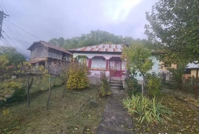 Casă cu 3 camere cu Teren 3410 Mp în Aluniș - 7