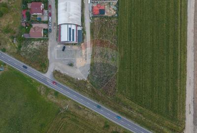 Un lot de casa intrare Sacele 790 mp + 3 loturi de 440mp - 8