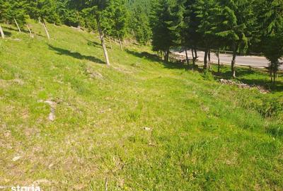 Teren de 1000 mp, în Măguri - 4