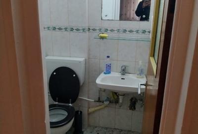 Apartament 3 camere langa Parcul Circului - 9