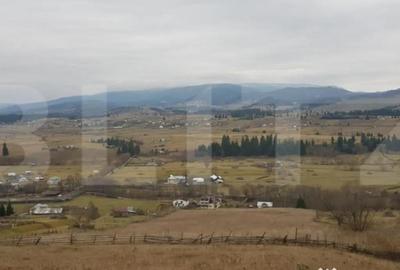 Teren de 50000 mp, în Central