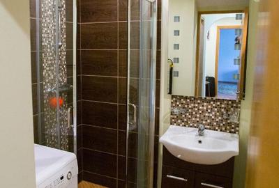 Apartament cu 2 camere de inchirat in zona Gorjului - 10