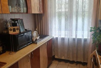 Apartament cu 2 camere semidecomandat în Săsar - 4