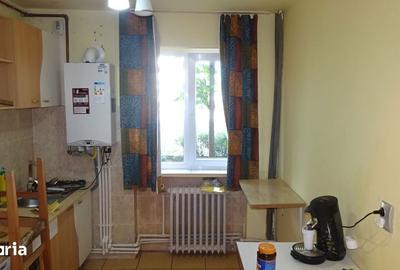 Apartament cu 2 camere semidecomandat în Gojdu - 4