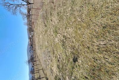 Spațiu comercial, în Lăzărești (Schitu Golești) - 4