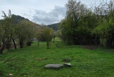 Casă cu 3 camere în Luna
