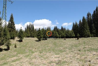 Terenuri speciale Padina Busteni, sunt dispuse ca o veritabi - 5