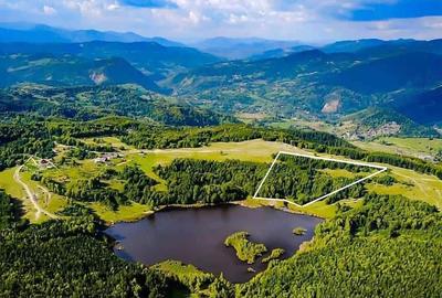 Teren de 40000 mp, în Chiliile - 1