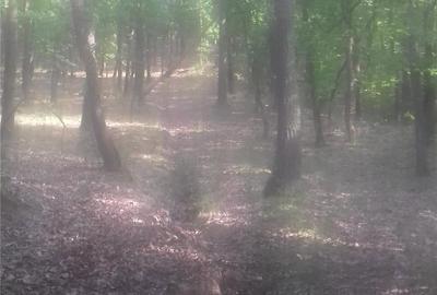 Teren în Central - 3