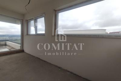 Penthouse cu 2 camere semidecomandat în Europa - 6