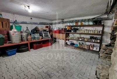 Casa de vanzare singura in curte, cu pivni?a spa?ioasa ?i teren liber, 234 - 5