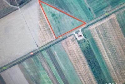 Teren de 32300 mp, în Sud - 3