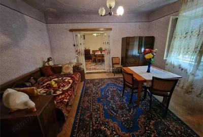 Casă cu Teren 4657 Mp în Șoșdea - 6