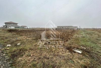 Teren de 530 mp, în Săcălaz