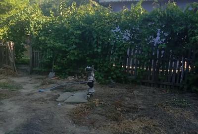 Casă cu 6 camere în Mircea Vodă - 4