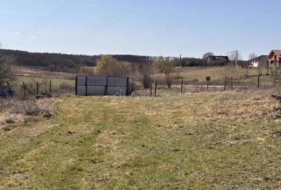 Spațiu comercial, în Păușa - 15