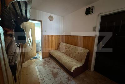 Apartament cu 3 camere, decomandat, Valea Aurie - 9