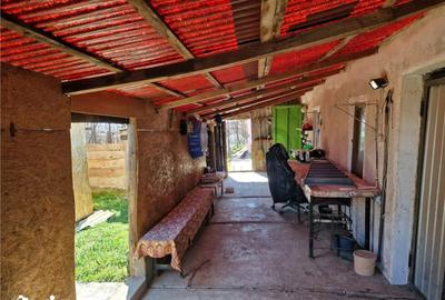 Casă cu 1 camere cu Teren 2676 Mp în Șimian - 1