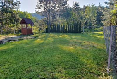 Cabana de lemn cu teren 760 mp de vanzare in Coada Lacului - Bihor - 18