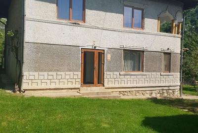 Casă cu 6 camere cu Teren 2559 Mp în Peștișani - 18