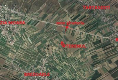 Teren de 5000 mp, în Brezoaele - 2