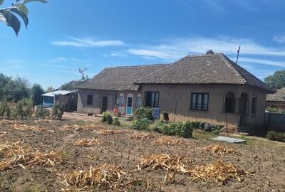 Seaca de Camp, jud. Dolj - 13