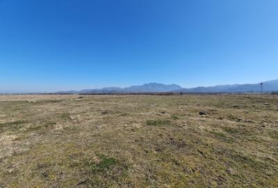 Teren agricol extravilan de 3900 mp, în Exterior Vest - 2