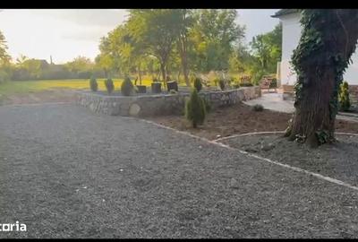 Casă cu 3 camere cu Teren 2000 Mp în Băcia - 8