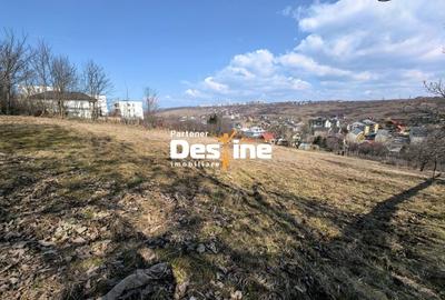 Teren Construcții intravilan de 3000 mp, în Rediu - 3