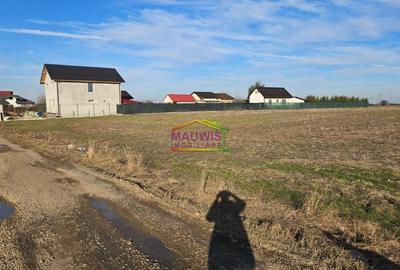 Magurele Strada Stejarului - 3