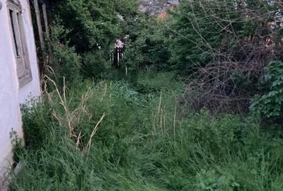 Vanzare Teren 777 mp + casa batraneasca Smeeni BZ - 7