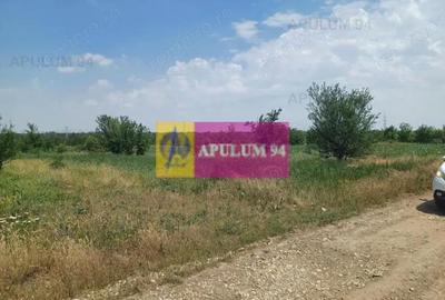 Teren de 12620 mp, în Săbăreni