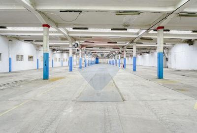 Spațiu industrial, de 2,000 mp, în Prejmer