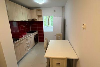Apartament cu 2 camere decomandat în Gorjului - 4