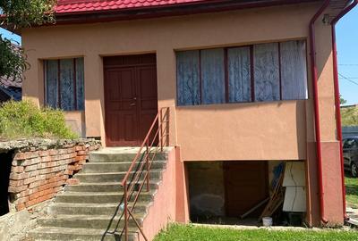 Vand casa batraneasca - 2