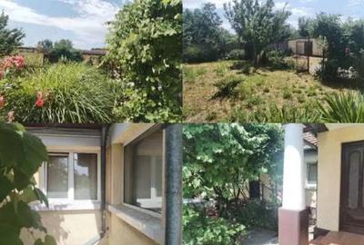 Cota de 1/2 din casa si teren loc. Barcea Mare, Jud. Hunedoara, - 2