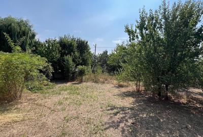 Casa individuala cu teren 797 mp | Teghes-Domnesti - 3